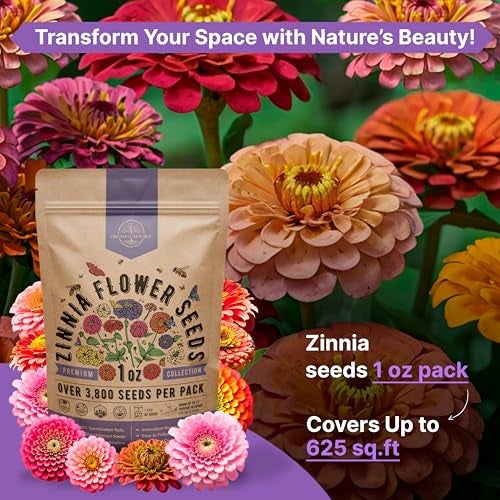 Organo Republic Zinnia Seeds Pack 1 oz - Over 3,800 Non-GMO Heirloom Zinnia Seeds for Planting, Annual Flowers in Individual Seed Packet, Flower Seed for Planting Home Garden Indoor & Outdoor Gardening - Image 4