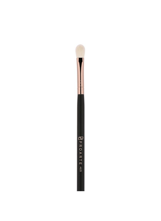PROARTE Flat Blending Brush Ae-25 