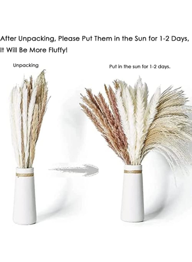 Luckam 70 قطعة | 20 قطعة من البامباس الأبيض و 20 قطعة من البامباس البني و 30 قطعة من عشب القصب المجفف الطبيعي، باقات مجففة طبيعية لتزيين المنزل بالزهور - Image 4