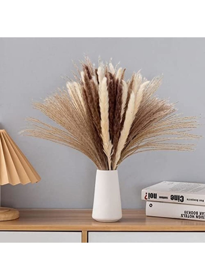 Luckam 70 قطعة | 20 قطعة من البامباس الأبيض و 20 قطعة من البامباس البني و 30 قطعة من عشب القصب المجفف الطبيعي، باقات مجففة طبيعية لتزيين المنزل بالزهور - Image 5