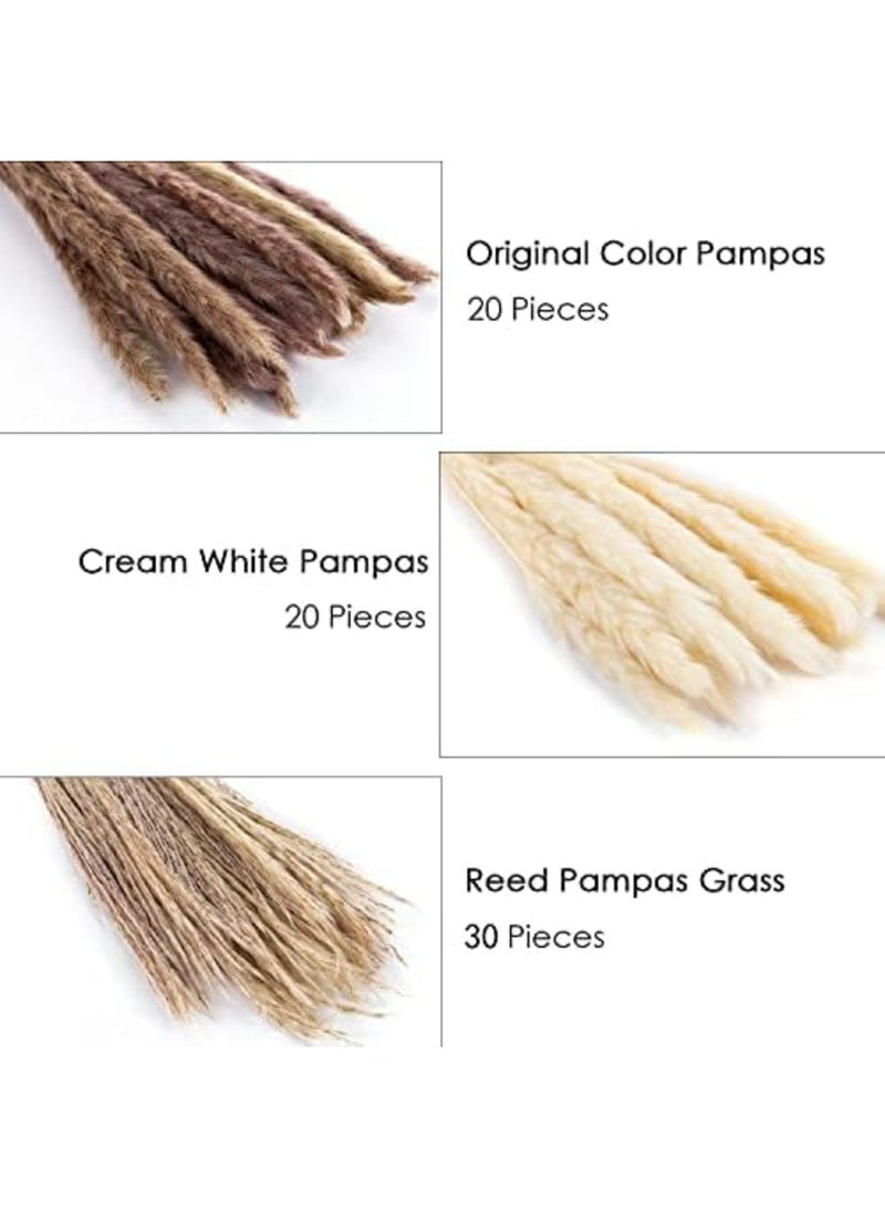 Luckam 70 قطعة | 20 قطعة من البامباس الأبيض و 20 قطعة من البامباس البني و 30 قطعة من عشب القصب المجفف الطبيعي، باقات مجففة طبيعية لتزيين المنزل بالزهور - Image 3
