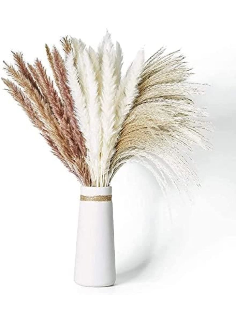Luckam 70 قطعة | 20 قطعة من البامباس الأبيض و 20 قطعة من البامباس البني و 30 قطعة من عشب القصب المجفف الطبيعي، باقات مجففة طبيعية لتزيين المنزل بالزهور - Image 1