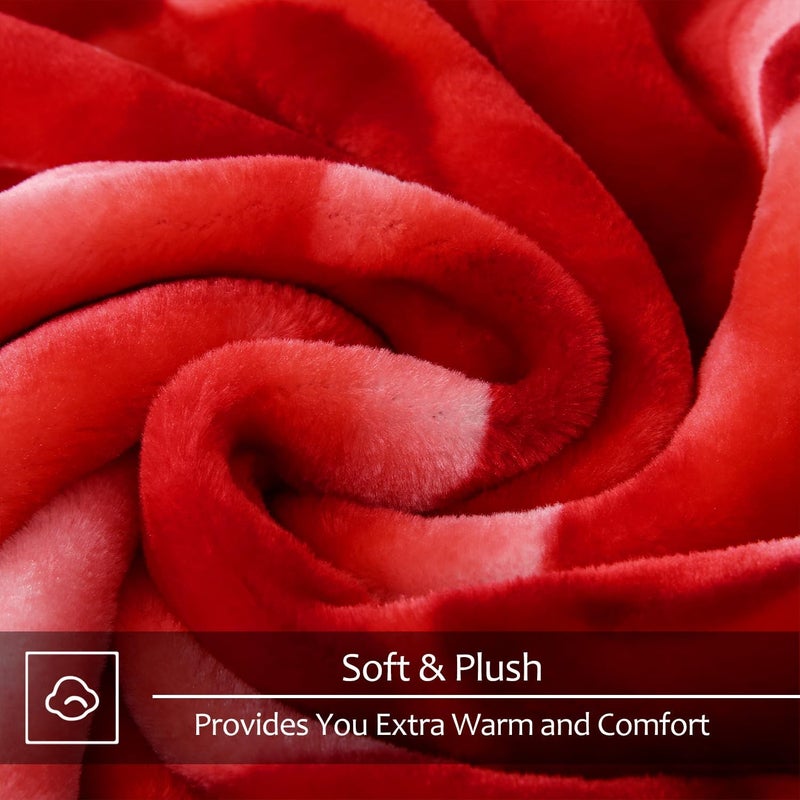 JYK Soft Blanket Korean Mink Blanket 5lb Fleece Blanket Queen Size 75x88 Inch 2 Layer Reversible 520gsm Super Soft Plush Medium Thick Warm Duvet for Autumn Winter Peony - Image 4