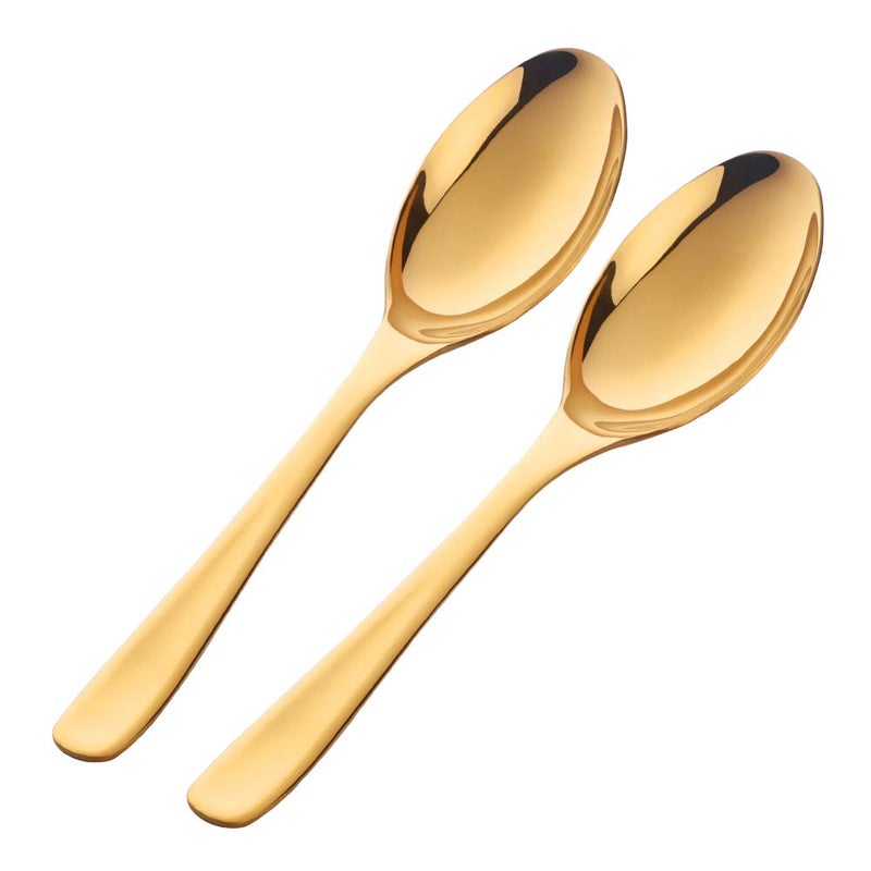 Bisda Buffet Serving Spoons Stainless Steel 10 Inch Gold Plated Server Set of 2 Large Salad Serverware Utensils Dishwasher Safe
