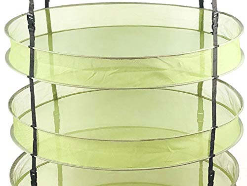 HORTIPOTS Hanging Drying Racks 2 FT Mesh Herb Dryer for Herbs and Clothes (2 FT Diameter, Green) - Image 3