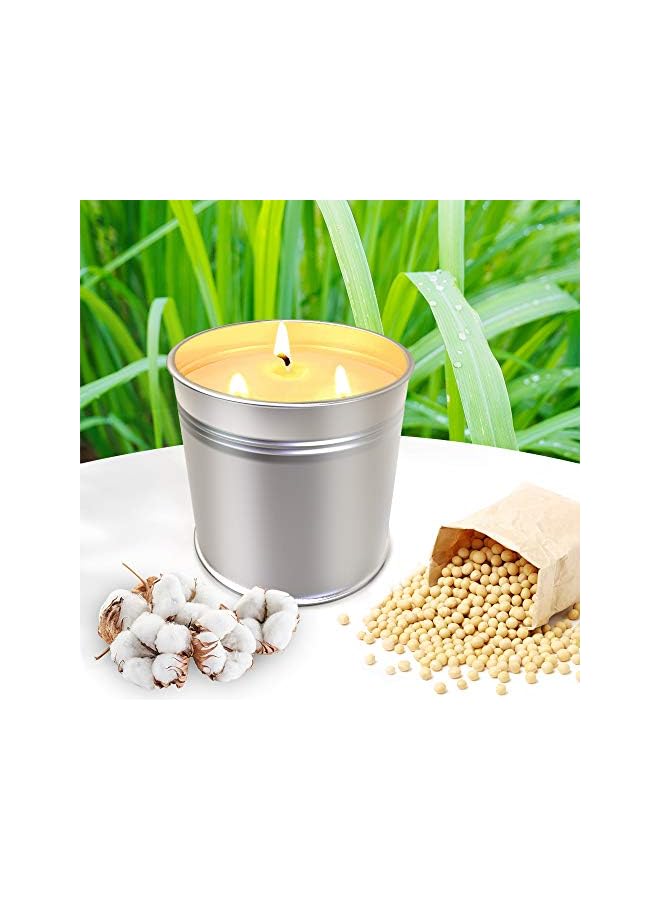 Green Tiger Packs Large Citronella Candles Outdoor Indoor, Wicks Soy Wax Candles for Patio Yard Home, Good for Summer Gift Silver 20oz (Pack of 2) - Image 2