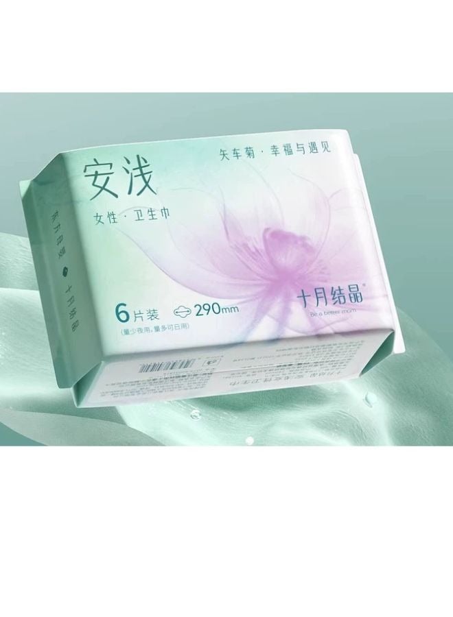 Be a better mom 6 Count Disposable Period Pads for Women - Heavy Absorbency Ultra Soft Period Pads With Wings, Skin Friendly Leak Protection Period Adult Pads 29cm  - Image 1