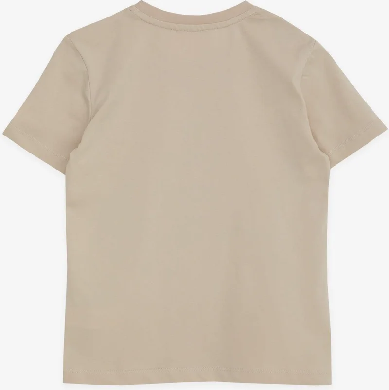 Breeze Boy's T-Shirt with Text Printed, Ages 8-14, Beige