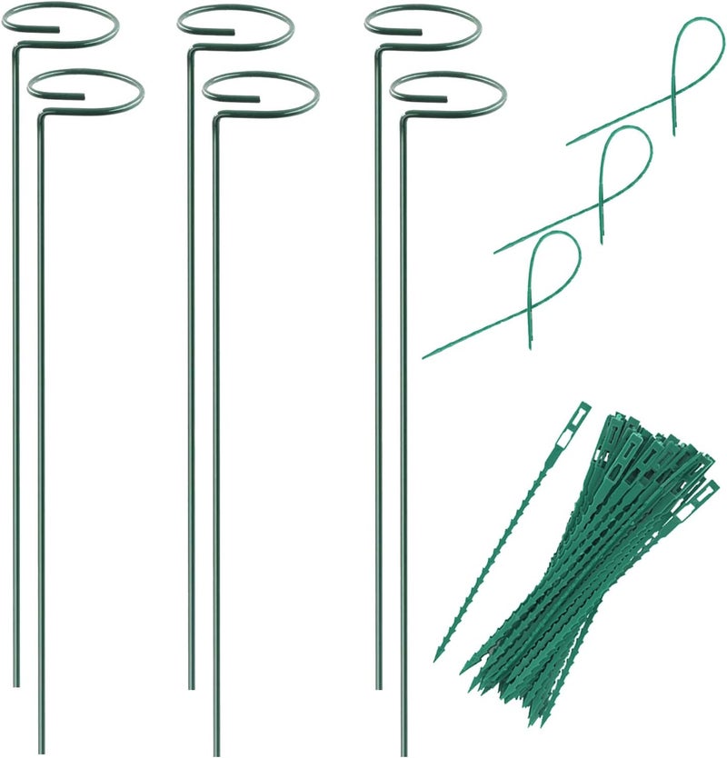 RAIKEDR Plant Stake Support - 6 Pack, Garden Single Stem Support Stake Plant Cage Support Rings, Single Stem Plant Support Stakes, Plant Twist Ties, for Flowers Amaryllis Tomatoes Peony Lily Rose (15.9 inch) - Image 1