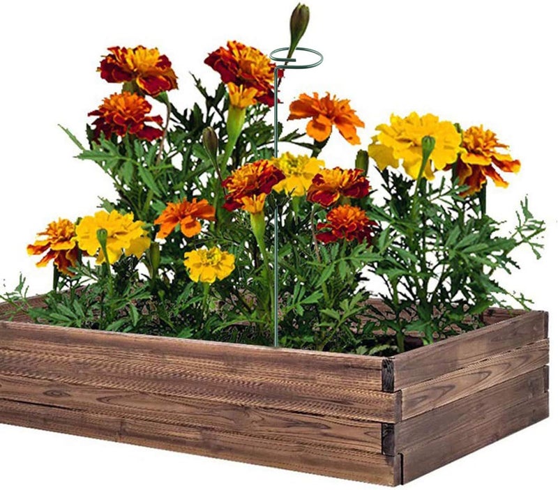 RAIKEDR Plant Stake Support - 6 Pack, Garden Single Stem Support Stake Plant Cage Support Rings, Single Stem Plant Support Stakes, Plant Twist Ties, for Flowers Amaryllis Tomatoes Peony Lily Rose (15.9 inch) - Image 4