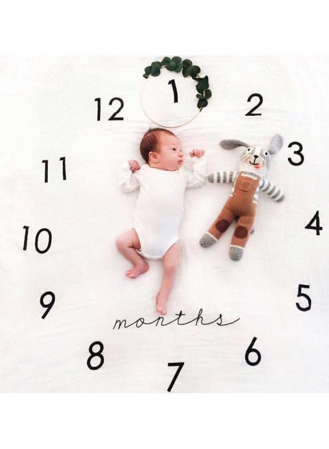 قماش خلفية تصوير شهرية لتطور الطفل، بطانية خلفية رقمية إبداعية للتصوير الفوتوغرافي، ملحقات تصوير للأطفال - Image 1