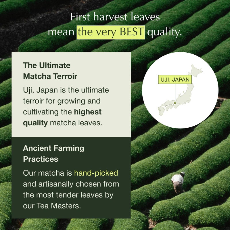 Encha Ceremonial Grade Matcha Powder, Organic First Harvest Japanese Matcha Green Tea, Matcha Tea From Uji, Japan (30g/1.06oz) - Image 3