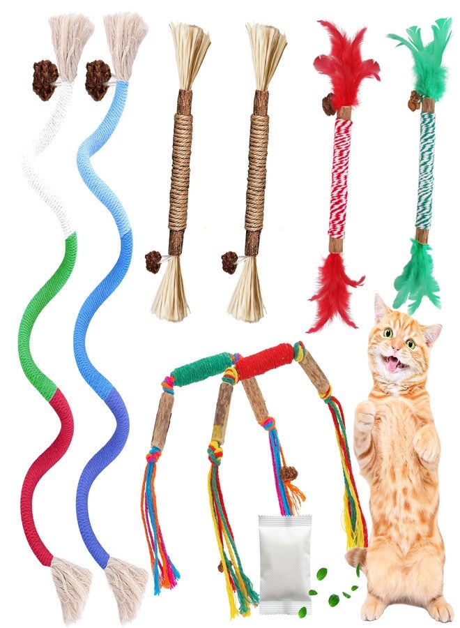 GBSYU Silvervine Sticks for Cats & Cat Chew Rope Toy with Refillable Natural Catnip Bag for Teeth Cleaning, Interactive Cat Catnip Toys for Indoor Cats, Kitten Teething Toys for All Breeds (8Pcs) - Image 1