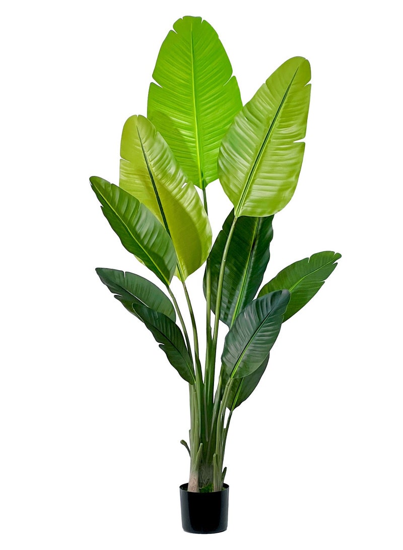 MirageBotanics Artificial Banana Plant Fake Bird of Paradise Plant for Indoors and Outdoors,Faux Palm Tree with UV Planter for Office and Home Decor - Image 1