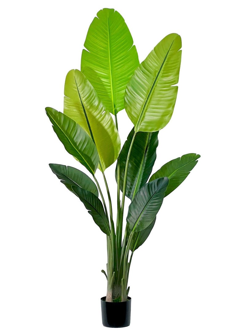 MirageBotanics Artificial Banana Plant Fake Bird of Paradise Plant for Indoors and Outdoors,Faux Palm Tree with UV Planter for Office and Home Decor - Image 1