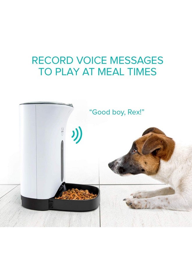 Arf Pets Automatic Pet Feeder Food Dispenser For Dogs, Cats & Small Animals  Features Distribution Alarms, Portion Control & Voice Recording  Timer Programmable Up To 4 Meals A Day - Image 3