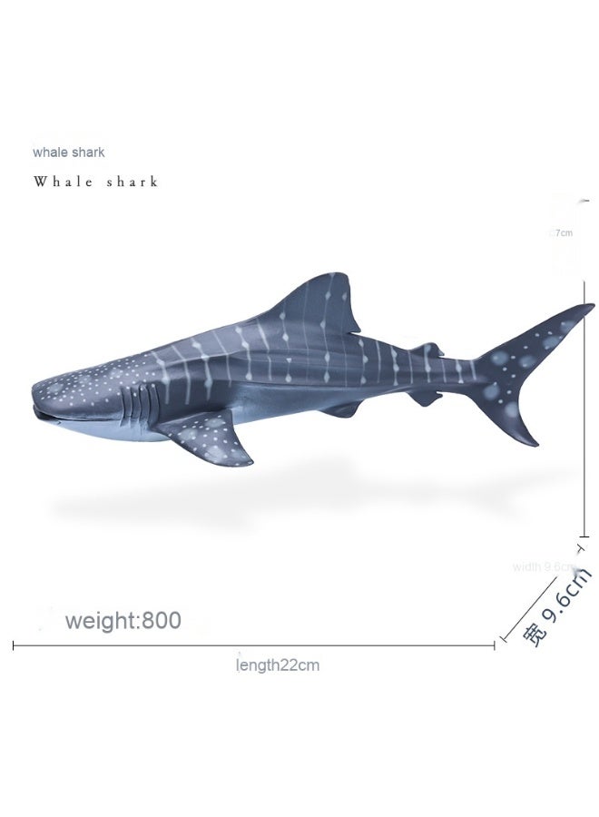 NIBEMINENT Realistic Ocean Creature Models - Shark and Blue Whale Toys