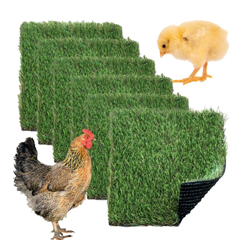 MUYG MUYG Chickens Nesting Box Pads 6 Pcs Washable Fake Turf Mats Grass Carpet Reusable Hens Nest Boxes Pad Chicken Coop Bedding for Laying Eggs 12 x 12 x 078 Inches 