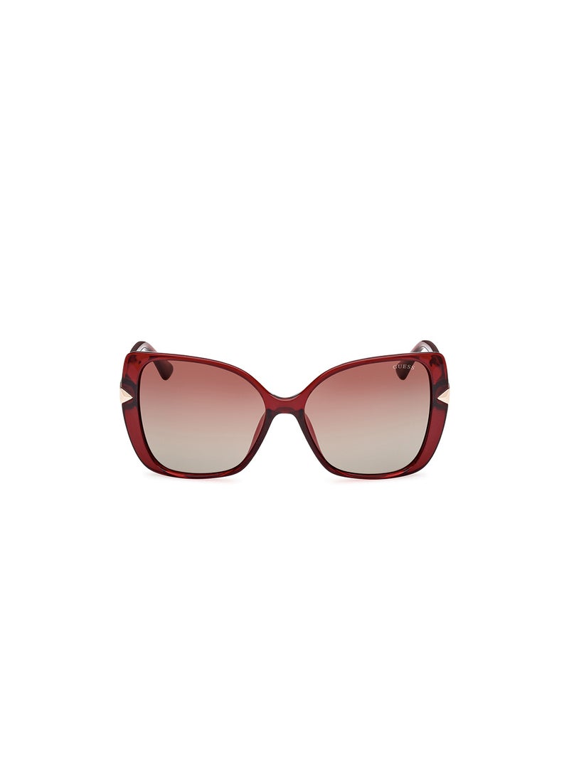 GUESS - Women's UV Protection Butterfly Sunglasses - GU782069F56 - Lens Size: 56 Mm - Image 1