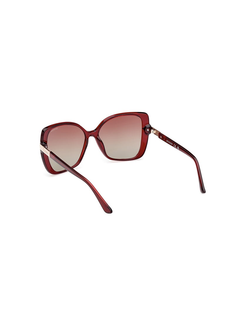 GUESS - Women's UV Protection Butterfly Sunglasses - GU782069F56 - Lens Size: 56 Mm - Image 1