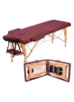 Cool Baby Portable Spa Bed Folding Facial Adjustable Lash Tattoo Table with Headrest Armrest  - Image 1