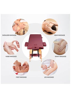 Cool Baby Portable Spa Bed Folding Facial Adjustable Lash Tattoo Table with Headrest Armrest  - Image 2