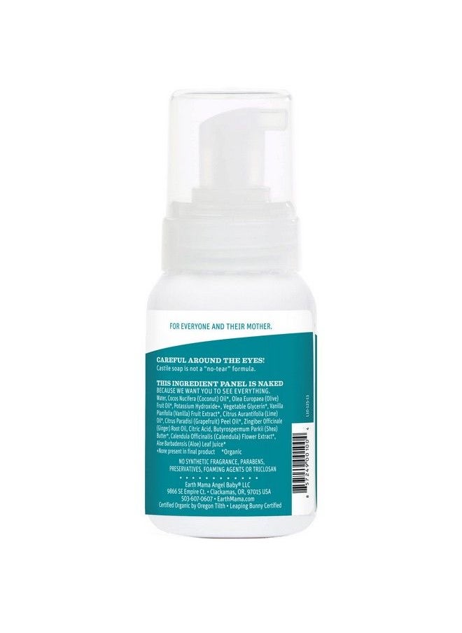 Earth Mama Ginger Fresh Foaming Hand & Body Wash : Allpurpose Castile Soap 53Fluid Ounce (Packaging May Vary)  - Image 4