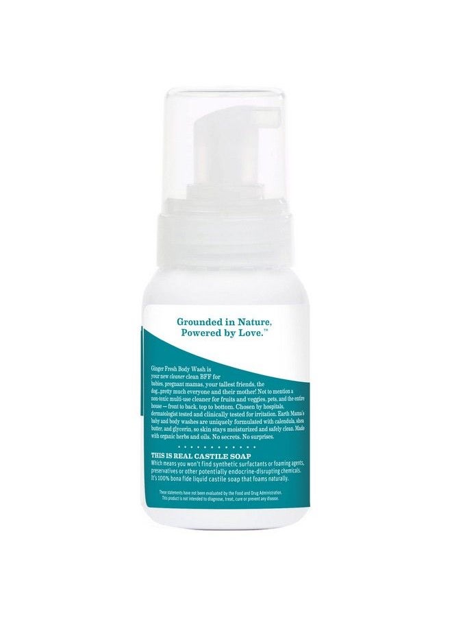 Earth Mama Ginger Fresh Foaming Hand & Body Wash : Allpurpose Castile Soap 53Fluid Ounce (Packaging May Vary)  - Image 3