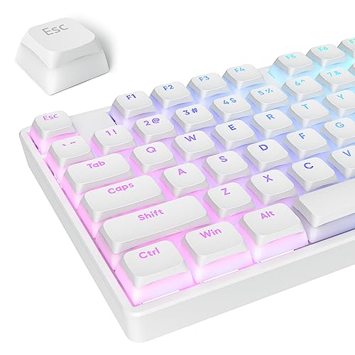 surmen 117-Key Pudding Keycaps，PBT Double Shot Keycaps XDA Profile Anti-Grease for MX Switches Mechanical Keyboard(White) - Image 1