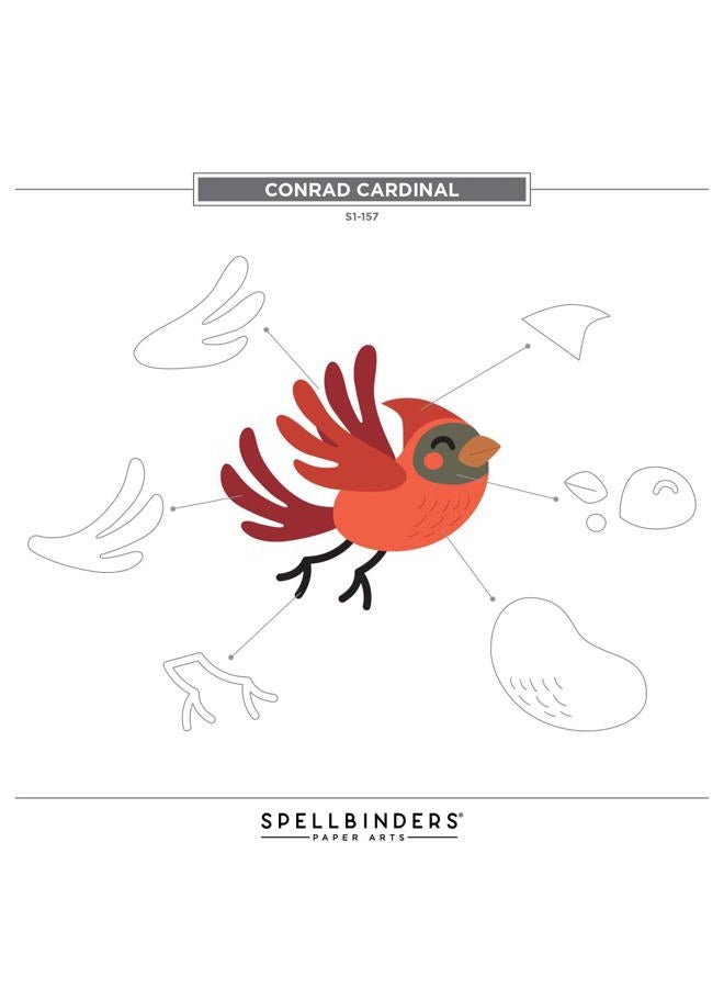 Spellbinders Conrad Cardinal Etched Dies - Image 4