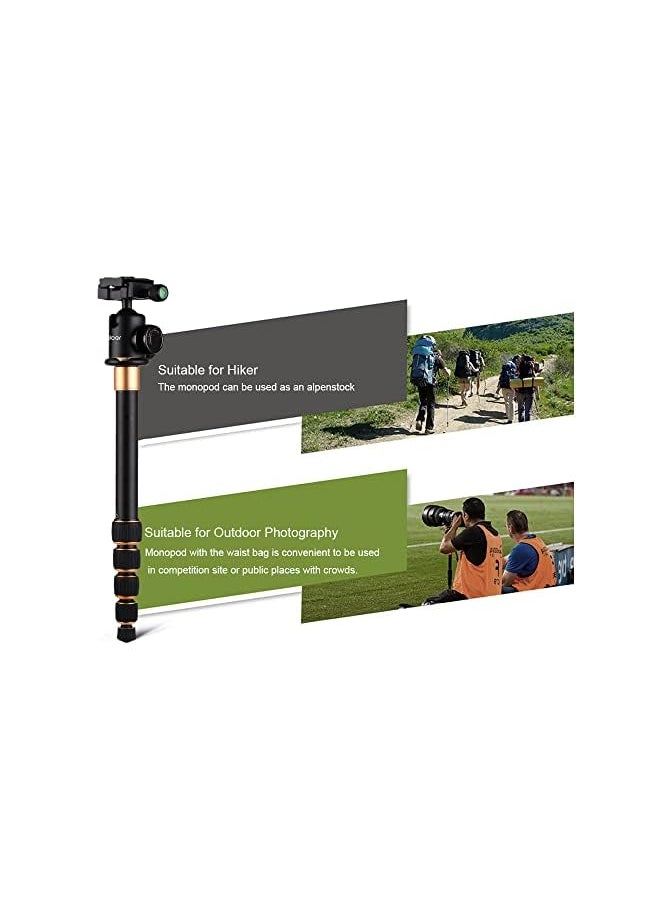 erorex - Portable 5-Section Adjustable Camera Camcorder Video Tripod Detachable Monopod Aluminum Alloy Material With Ball Head Carrying Bag Compatible With Canon Nikon Sony Panasonic Dslr Max. Load 5Kg - Image 1