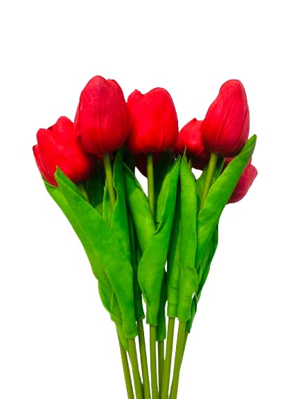 Generic Indus Decor Artificial Tulip Bunch - Beautiful Flowers for Home Décor, Living Room, Bedroom, Office, Tabletop Centerpiece, Wedding Decoration (5 Sticks) (Red)  - Image 1