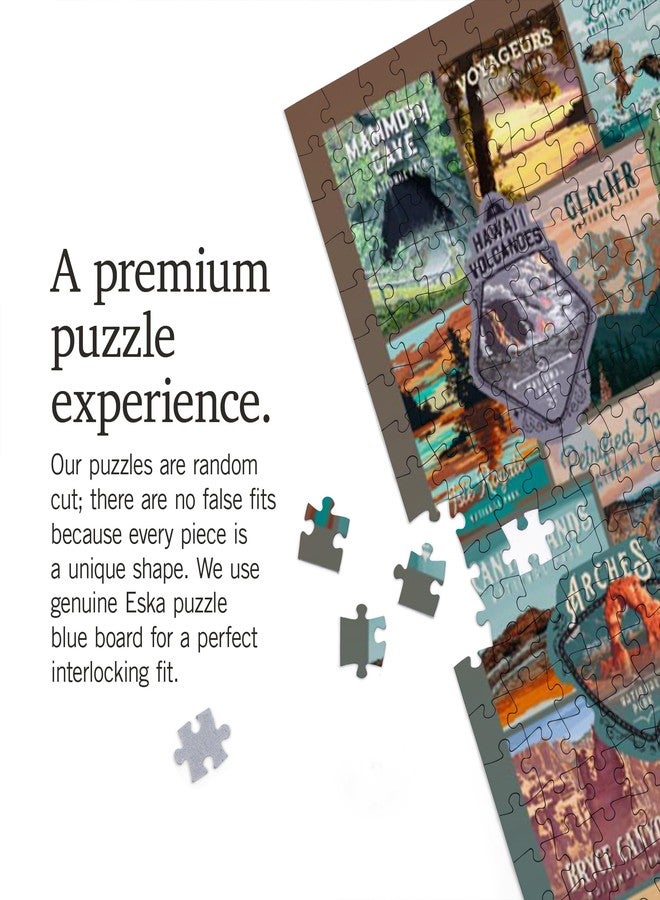 Lantern Press Made in USA Puzzle for Adults - 1000 Pieces, Reference Poster, Premium Box, Protect Our National Parks Collection, Collage - Image 4