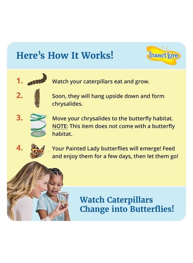 Insect Lore Cup Of Caterpillars | 5 Live Caterpillars For Butterfly Garden Kit | Refill For Painted Lady Butterfly Kit | Stem Learning With Stickers - Image 2