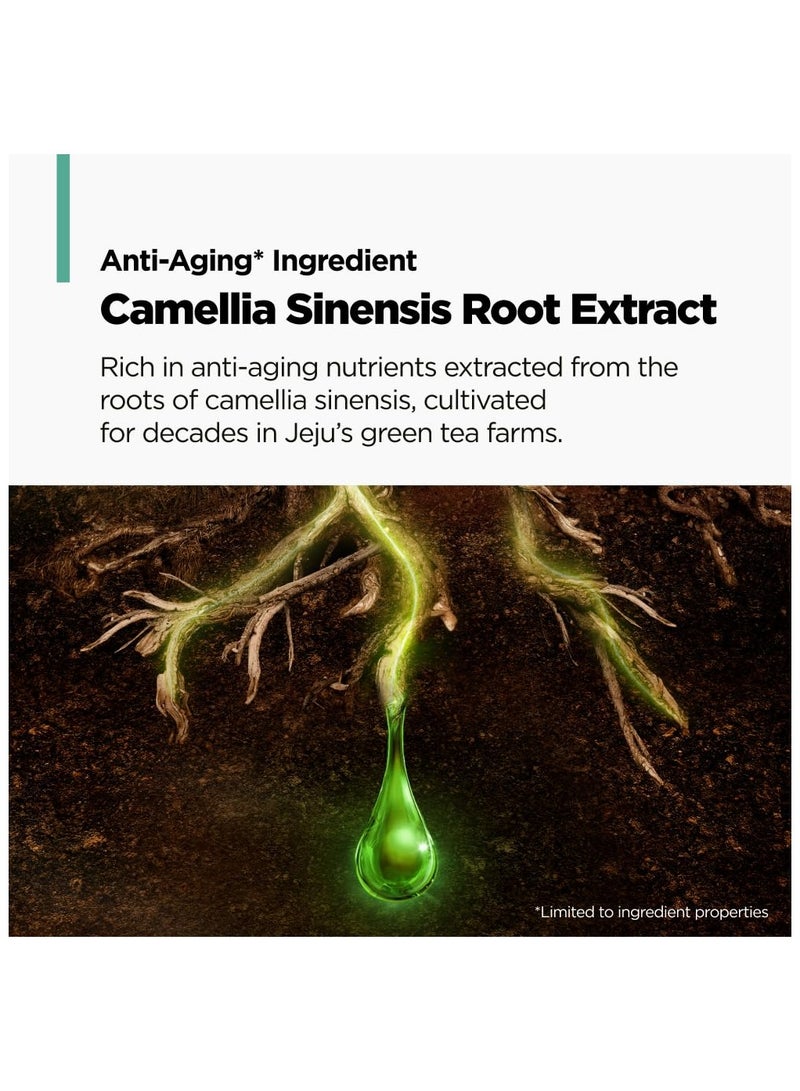 أموس بروفيشنال اموس بوفيشنال شامبو اكتيف مضاد للشيخوخة للشعر الرقيق والناعم من جرين تي | يحمي فروة الرأس ويكثف الشعر | مثبت سريريا، 500ml سائلة - Image 5