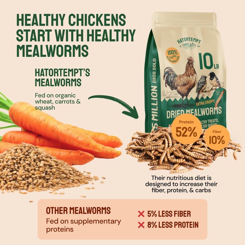 Hatortempt Bulk Dried Mealworms - 10 Lb Bag - Non-GMO Dried Mealworms for Chickens, Ducks & Wild Birds - High-Protein Chicken Feed & Bird Food - Image 2