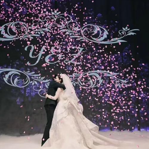 CODE FLORIST 2200 PCS Silk Rose Petals Wedding Flower Decoration - Image 5