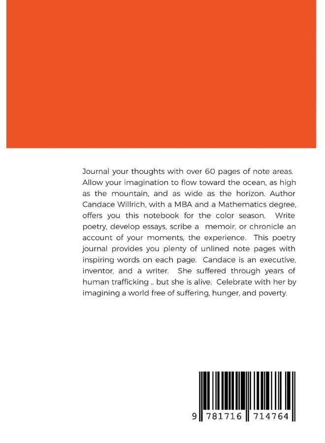 WRITE YOUR IMAGINATION: write, inspire, lead - Image 2