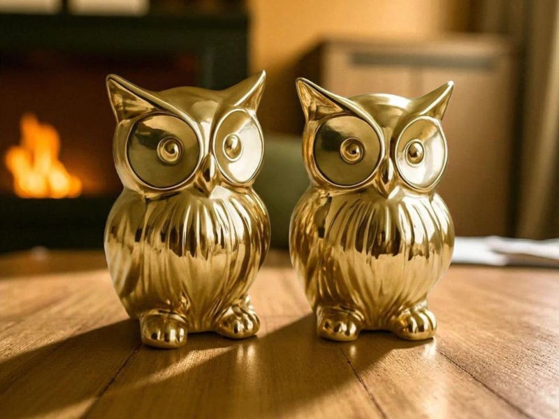 Chocozone Pack of 2 Owl Showpiece for Good Luck Vastu Feng Shui Items for Home Decor Figurines Decorative Items for Home Showpieces for Living Room - Image 4