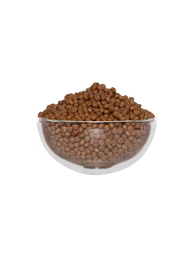 كيت كات طعام جاف بدون حبوب للقطط الصغيرة - ١٠ كجم - Image 3