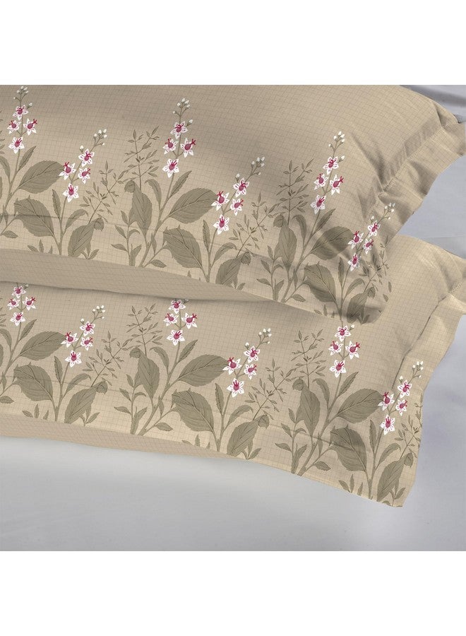 Trident غطاء وسادة تريداينت سوفت كومفورت مجموعة من 2، 100% قطن، 210 TC، ناعم وقابل للتنفس، حجم قياسي (46 سم × 69 سم) - فناء خلفي - Image 2