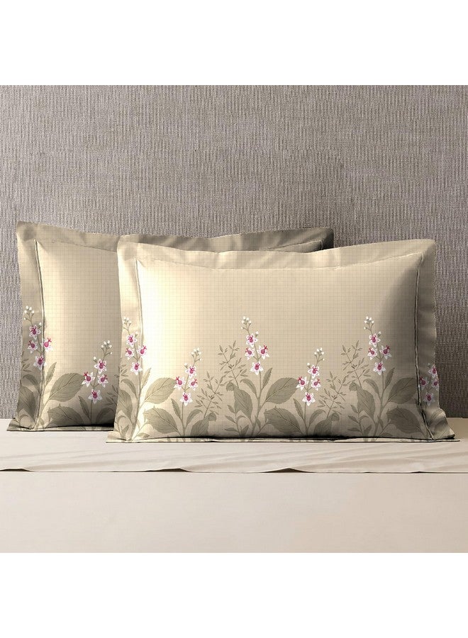 Trident غطاء وسادة تريداينت سوفت كومفورت مجموعة من 2، 100% قطن، 210 TC، ناعم وقابل للتنفس، حجم قياسي (46 سم × 69 سم) - فناء خلفي - Image 1