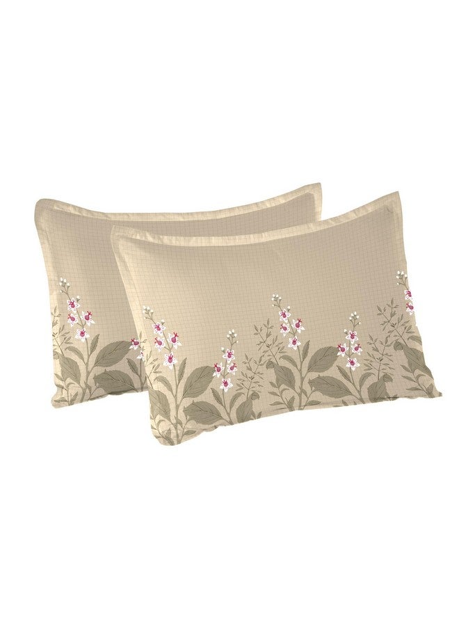 Trident غطاء وسادة تريداينت سوفت كومفورت مجموعة من 2، 100% قطن، 210 TC، ناعم وقابل للتنفس، حجم قياسي (46 سم × 69 سم) - فناء خلفي - Image 3