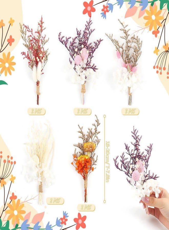 باقة زهور مجففة صغيرة بوهيمية مكونة من 10 قطع، زهور مجففة، باقات صغيرة، نباتات طبيعية حقيقية صغيرة لتزيين طاولات حفلات الزفاف، علب الهدايا، تزيين الكيك والزجاجات، زينة المزهريات المنزلية، أعمال يدوية (بيلي بول) - Image 2