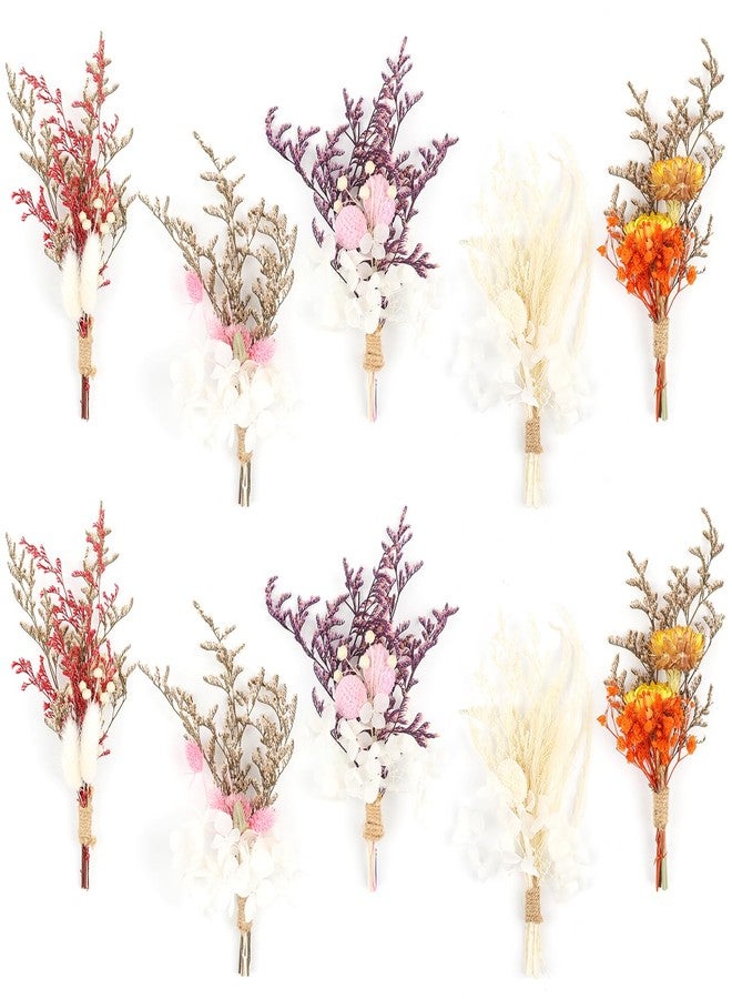 باقة زهور مجففة صغيرة بوهيمية مكونة من 10 قطع، زهور مجففة، باقات صغيرة، نباتات طبيعية حقيقية صغيرة لتزيين طاولات حفلات الزفاف، علب الهدايا، تزيين الكيك والزجاجات، زينة المزهريات المنزلية، أعمال يدوية (بيلي بول) - Image 1