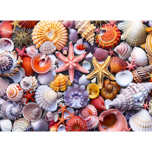 Nitktaia 500 Pieces Jigsaw Puzzles for AdultsColorful Beach Shells Puzzle for Adults ElderlyRecycled Paper Puzzle 500 PiecesGlossy Sturdy Pieces Challenging Family Game Great Gift Idea 205x15in - Image 1