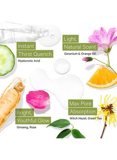 Tree to Tub Tree To Tub Hydrating Facial Toner Spray for Dry & Sensitive Skin - Alcohol Free Witch Hazel & Rose Water Face Toner for Women & Men w/Hyaluronic Acid, Vitamin C, Organic Green Tea, Natural Ginseng  - Image 3
