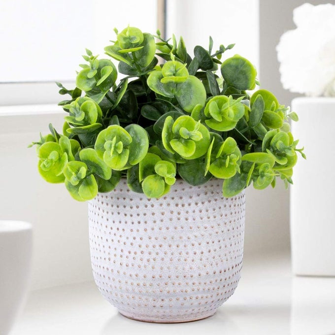 Artificial Lysimachia Plants in Ceramic Planter Cute Fake Succulent Flowers Potted for Home Office Table Desk Decor Living Room Bathroom Bedroom Shelves Decoration