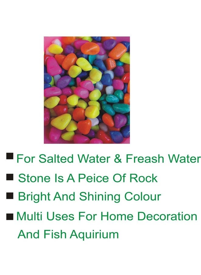 Afast Multicolor Pabbles/Stone for Garden, Plants, Aquarium & Home Decor, Marvels, Decoration, Fish Aquarium, Vase Filler, 0.5 KG -AAAY1 - Image 3
