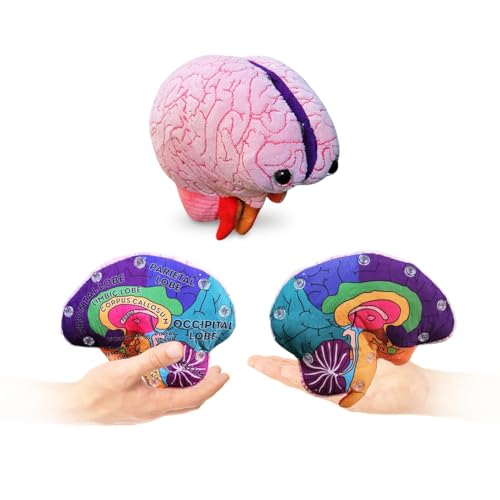 Giant Microbes GIANTmicrobes Brain Model Human Brain Anatomy Model Brain Model for Kids Brain Model for Neuroscience Brain Model for Teaching Brain Model for Psychology 3D Brain Model Brain Anatomy Toy - Image 1